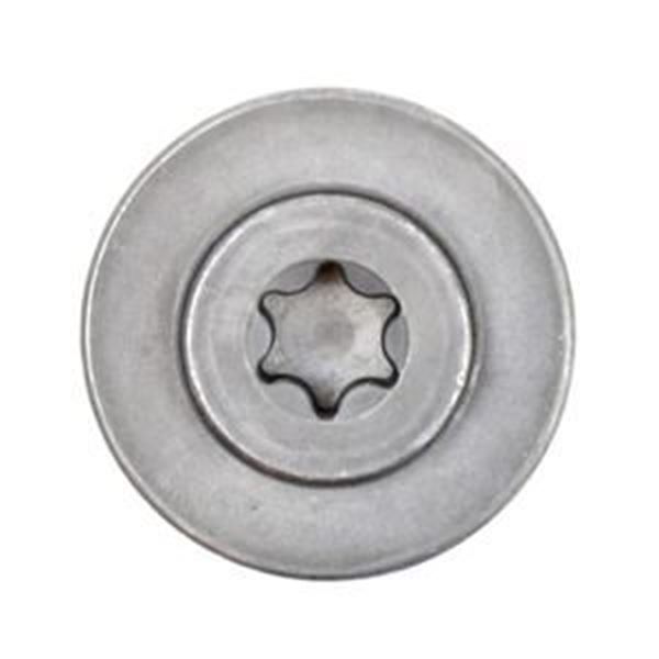 Imagen de TORNILLO OBTURADOR